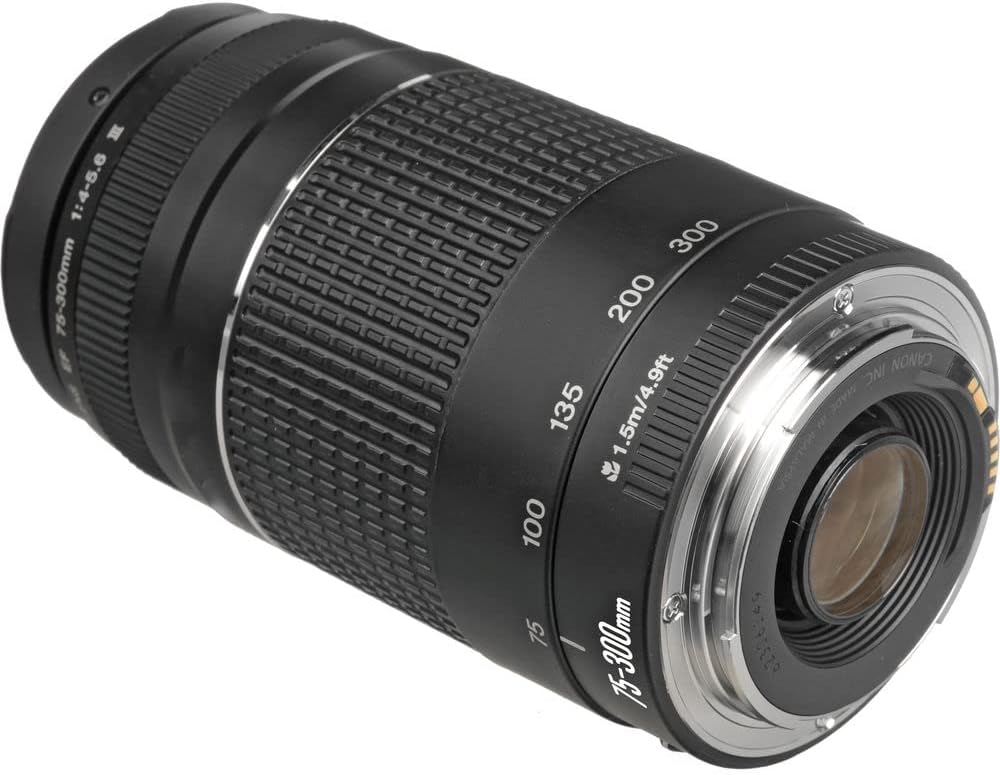 Canon EF 75-300mm Telephoto Zoom Lens Review