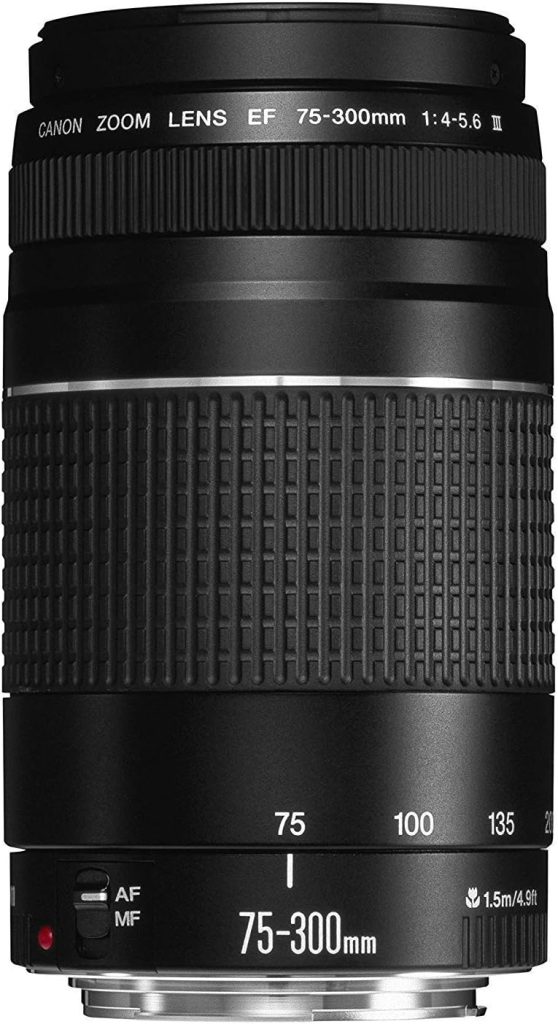 Canon EF 75-300mm f/4-5.6 III Telephoto Zoom Lens for Canon SLR Cameras