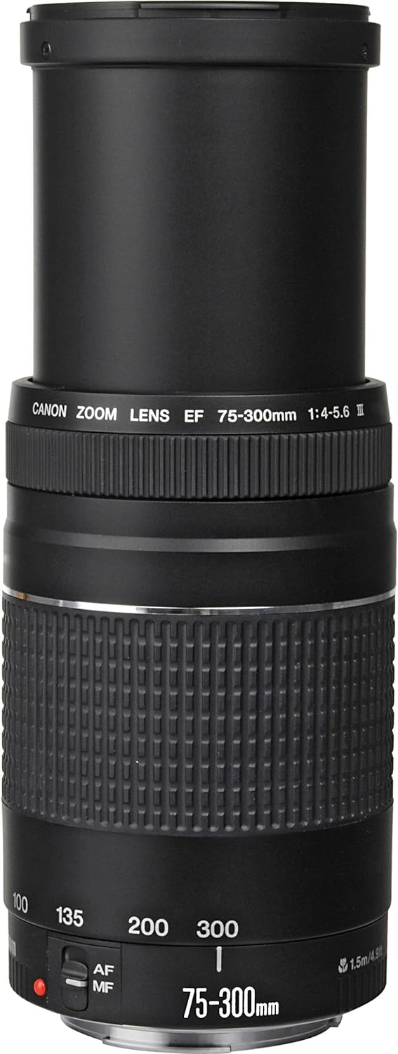 What Is DSLR Telephoto Lens?