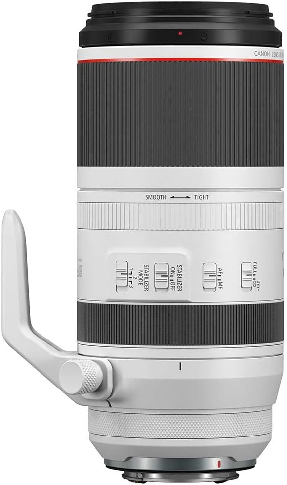 Canon RF 100-500mm Lens Review